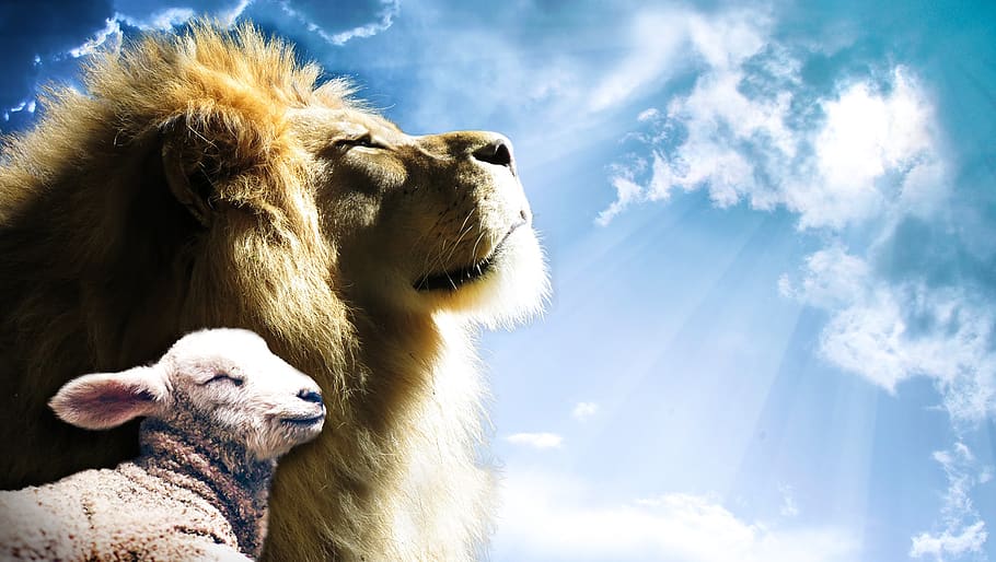 lion-lamb-sky-jesus